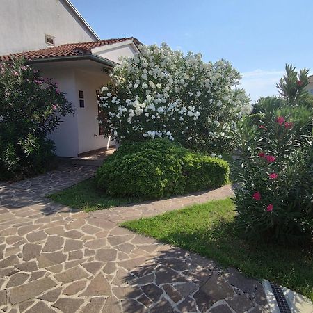 Apartments Medusa Rovinj Ngoại thất bức ảnh