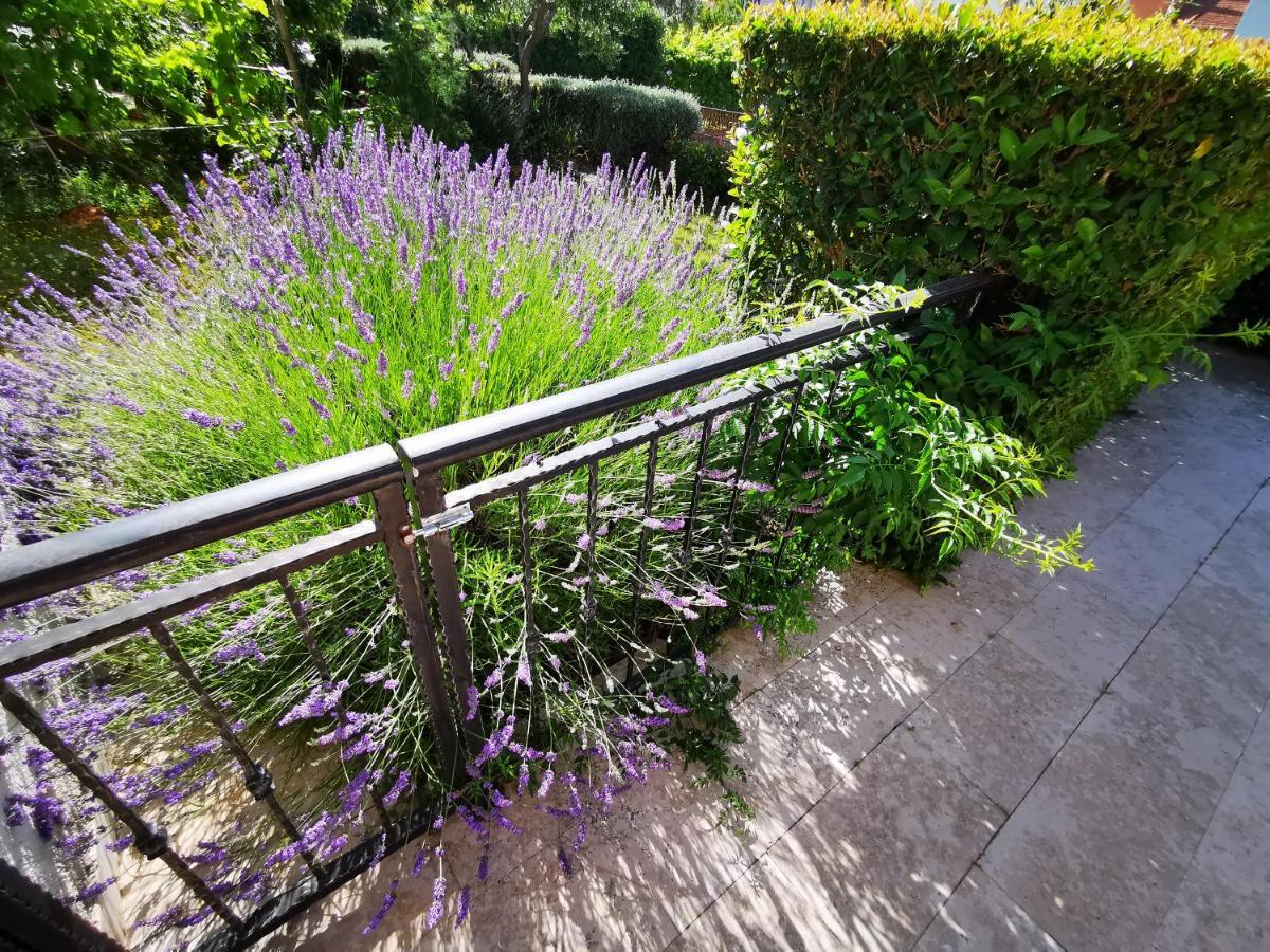 Apartments Medusa Rovinj Ngoại thất bức ảnh